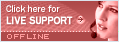 Live chat offline